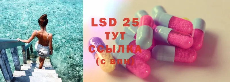 хочу   Мураши  гидра как зайти  Лсд 25 экстази ecstasy 